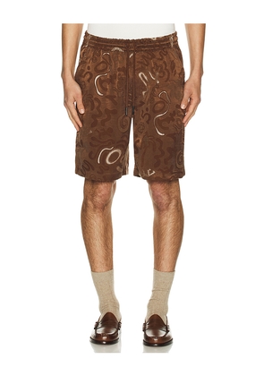 OAS Nicola Shorts in Brown. Size L. Also in M, S, XL/1X.