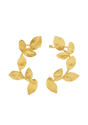 Lynyer Climbing Leaf earrings - Gold