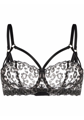 Fleur Of England Kittie caged-strap balcony bra - Black