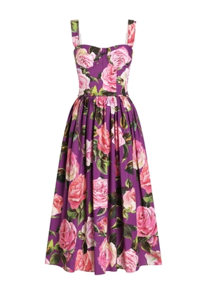 Dolce & Gabbana rose-print midi dress - Purple