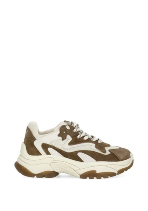 Ash paneled sneakers - Brown