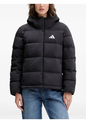 adidas hooded puffer jacket - Black
