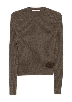 Cecilie Bahnsen Blas jumper - Brown