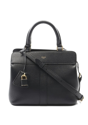 Celine Pre-Owned 2010s small Cabas De France tote bag - Black