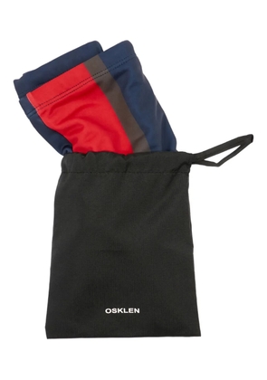 Osklen Riva stripe-panel swim briefs - Blue