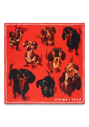 Bimba y Lola dog-print scarf - Red