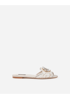 Dolce & Gabbana Slippers In Lace With Crystals - Woman Slides And Mules Gray Lace 38