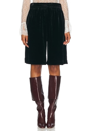 Chloe Velvet Bermuda Short in Black - Black. Size 34 (also in ).