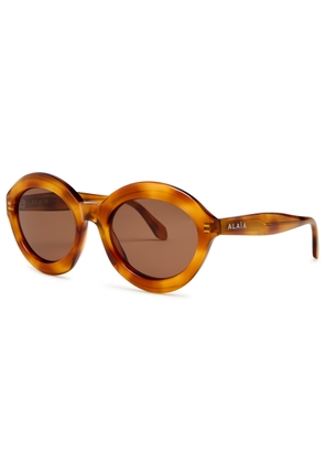 Alaïa Oval-frame Sunglasses - Brown Havana - One Size