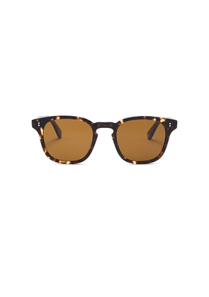 Garrett Leight Ace II Sun in Brown.