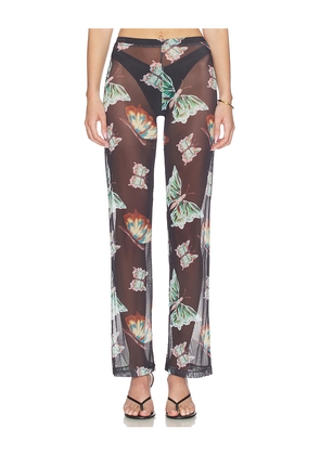 Juliet Johnstone Mesh Pant in Black. Size L. Also in M, S, XL/1X, XS.