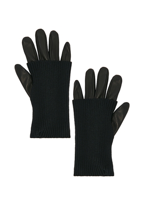 Favorite Daughter Armwarmer Gloves in Black. Size L. Also in M.