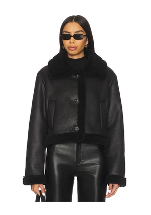 MORE TO COME Cyrilla Faux Leather Jacket in Black. Size XL. Also in XXS.