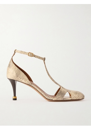 Chloé - Cleia 70 Snake-effect Leather Pumps - Animal print - IT35,IT35.5,IT36,IT36.5,IT37,IT37.5,IT38,IT38.5,IT39,IT39.5,IT40,IT40.5,IT41