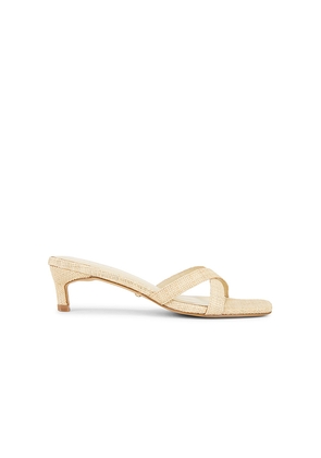 RAYE Shea Sandal in Neutral. Size 6. Also in 7.5.