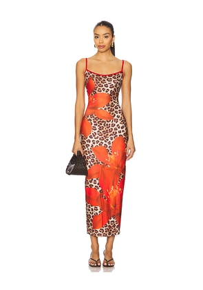 Runaway The Label Victoria Midi Dress in Red,Brown. Size M. Also in XS.