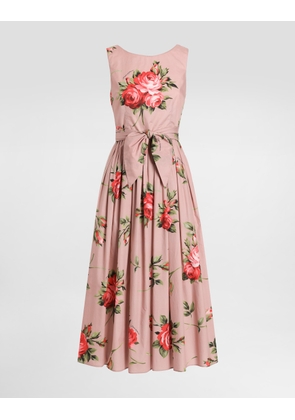 Dolce & Gabbana Rose Bouquet-print Cotton Dress - Woman Dresses Multicolor 40
