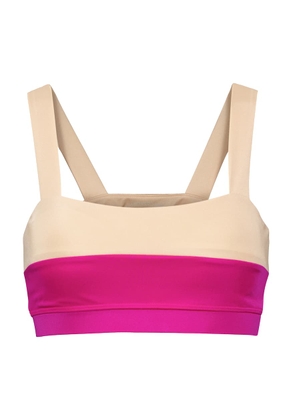 Lanston Sport Elysian sports bra