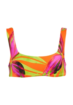 Louisa Ballou Scoop printed bikini top