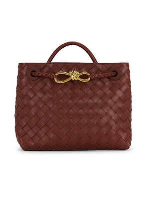 Bottega Veneta Small Andiamo Bag in Sapele & Muse Brass. Size all.