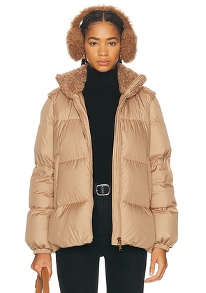 Moncler Esnaie Jacket in Beige - Brown. Size 3/L (also in ).