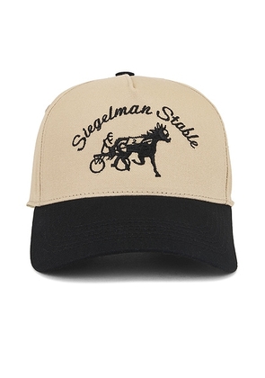 Siegelman Stable Hat in Khaki & Black - Brown. Size all.