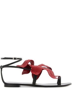 Giuseppe Zanotti floral appliqué sandals - Black