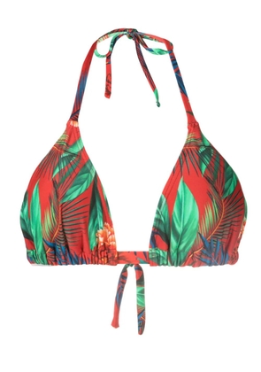 Lygia & Nanny Iasmin floral-print bikini top - Red