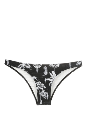 Lygia & Nanny Poipu low-rise bikini bottom - Black