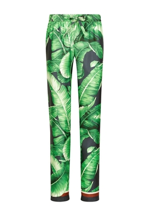 Dolce & Gabbana Banano print silk lounge trousers - Green