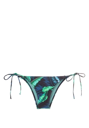 Lygia & Nanny Thai leaf-print bikini bottoms - Blue