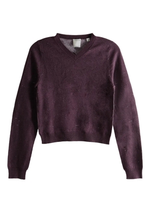 Calvin Klein V-neck sweater - Purple