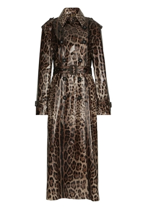 Dolce & Gabbana leopard-print belted trench coat - Brown
