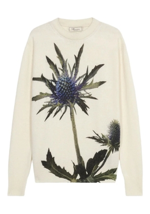Blumarine floral-motif crew-neck sweater - White