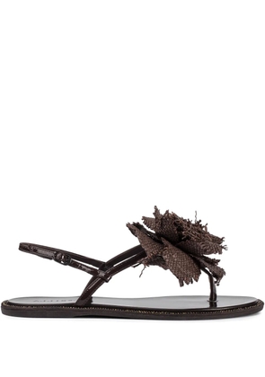 Le Silla Rose sandals - Brown