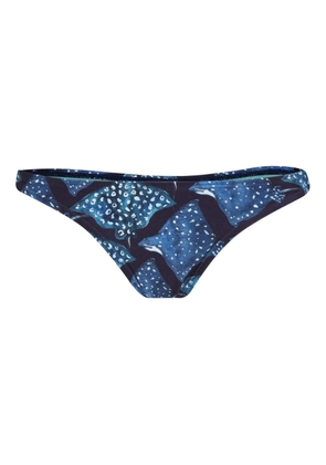 Lygia & Nanny Poipu bikini bottoms - Blue
