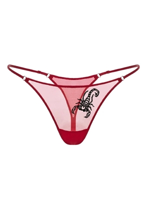 Zhilyova embroidered sheer thong
