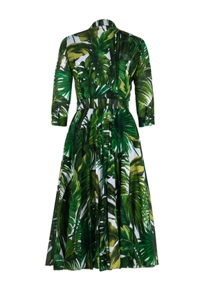Samantha Sung Aster palm tree-print midi dress - Green