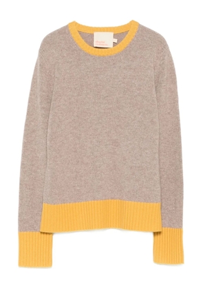 absolut cashmere Alessandra jumper - Brown