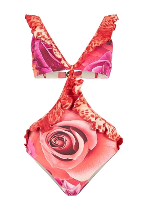 Roberto Cavalli Garden Rose swimsuit - Pink