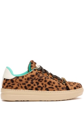 Roberto Cavalli leopard-print sneakers - Brown