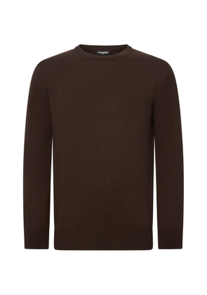 FRANZESE COLLECTION ribbed crew-neck cashmere sweater - Brown