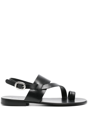 Giuseppe Zanotti Hezra toe-loop leather sandals - Black