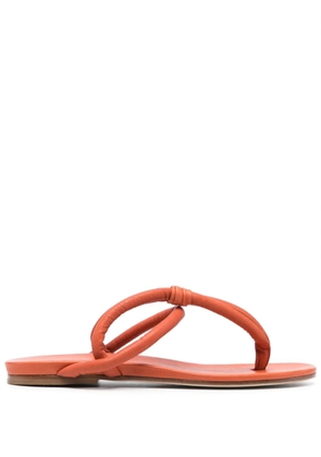 Del Carlo Dytt sandals - Orange