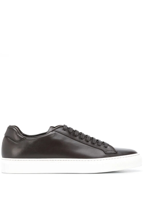 Scarosso low top Ugo sneakers - Brown