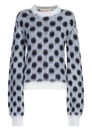 Marni polka-dot intarsia jumper - White