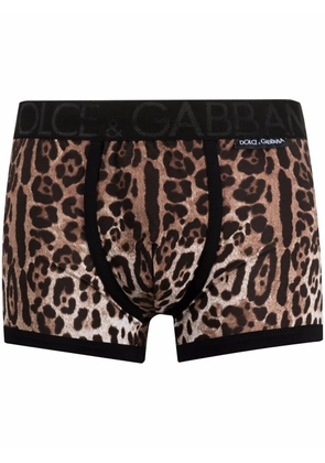 Dolce & Gabbana leopard-print boxer trunks - Neutrals