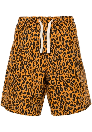 Palm Angels leopard-print poplin shorts - Orange
