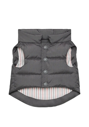 Thom Browne striped football dog vest - Grey