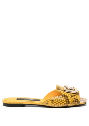 Dolce & Gabbana logo-plaque snakeskin slides - Yellow